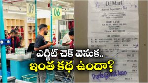 DMart Exit Check: డిమార్ట్ ఎగ్జిట్ చెక్.. బిల్ మీద స్టాంప్ ఎందుకు వేస్తారో తెలుసా?