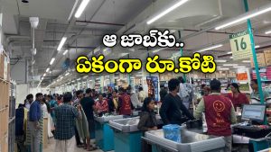 DMart: డిమార్ట్‌ లో శ్రమించే ఆ సిబ్బంది జీతాలు ఎంతో తెలుసా? నిజంగా షాకవుతారు!