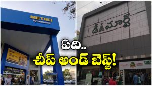 DMart vs Metro: డిమార్ట్, మెట్రో.. ఏ స్టోర్ లో సరుకులు చౌకగా దొరుకుతాయంటే?