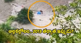OTT Movie : డిటెక్టివ్ భార్యనే బురిడీ కొట్టించే భర్త... పేరు కాని పేరుతో చిక్కుల్లో... ట్విస్టులతో మతిపోగోట్టే క్రేజీ కొరియన్ థ్రిల్లర్