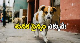 Jr NTR: అందరికీ దూరం... ఒంటరి పోరాటం... నందమూరి ఫ్యామిలీకి ఎన్టీఆర్ మళ్లీ కౌంటర్ ?