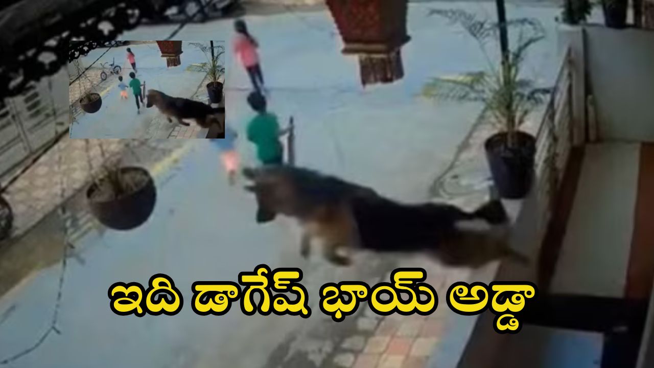 Dog video: పిల్లలపై వీధి కుక్క దాడి.. హీరోలో వచ్చి కాపాడిన పెంపుడు కుక్క.. వీడియో వైరల్
