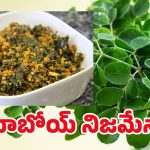 Munagaku Benefits: మునగాకుతో మామూలుగా ఉండదు.. దీని బెనిఫిట్స్ తెలిస్తే..