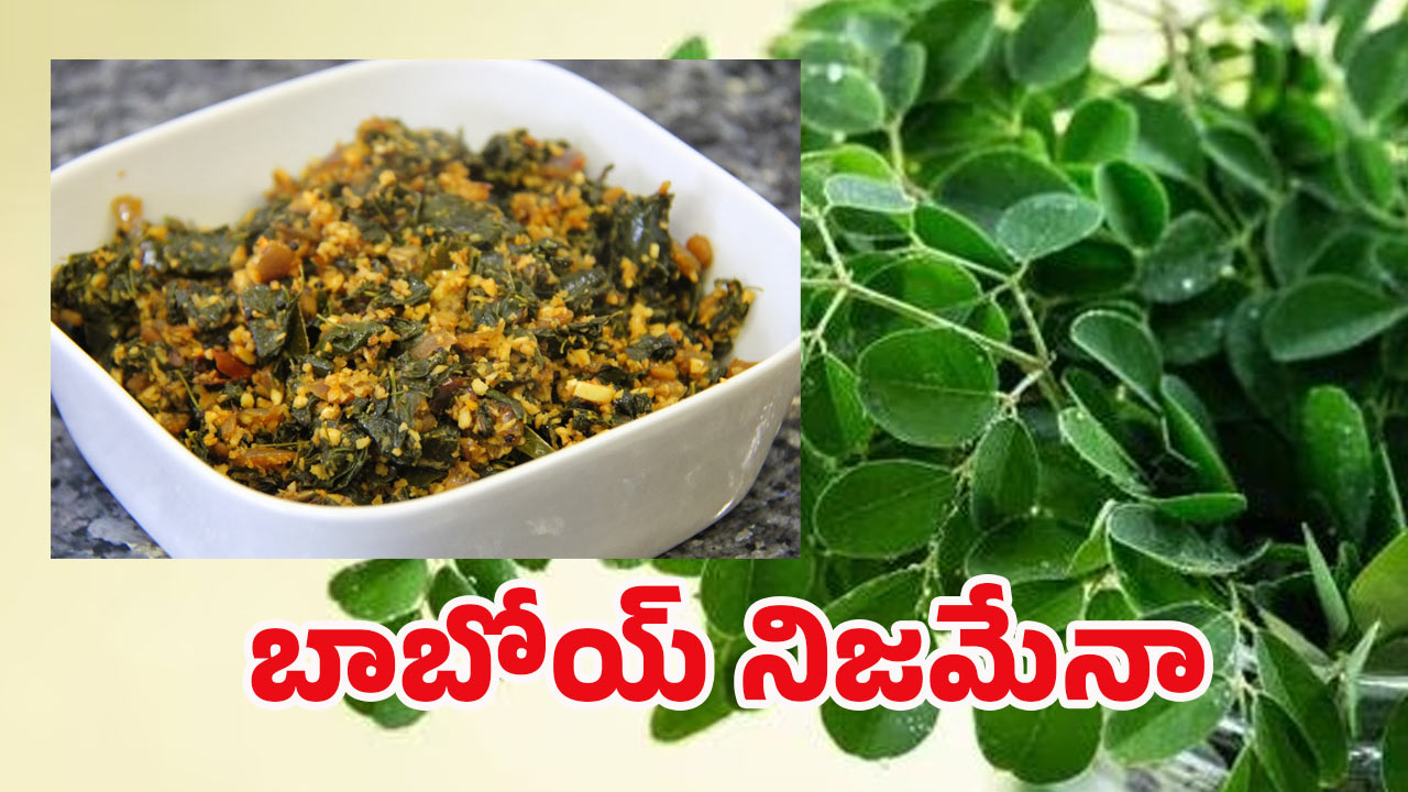 Munagaku Benefits: మునగాకుతో మామూలుగా ఉండదు.. దీని బెనిఫిట్స్ తెలిస్తే..