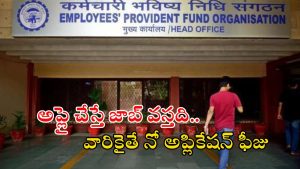 EPFO: ఎంప్లాయిస్‌ ప్రావిడెంట్‌ ఫండ్‌ ఆర్గనైజేషన్‌లో ఉద్యోగాలు.. డిగ్రీ పాసైతే చాలు, నో కాంపిటేషన్