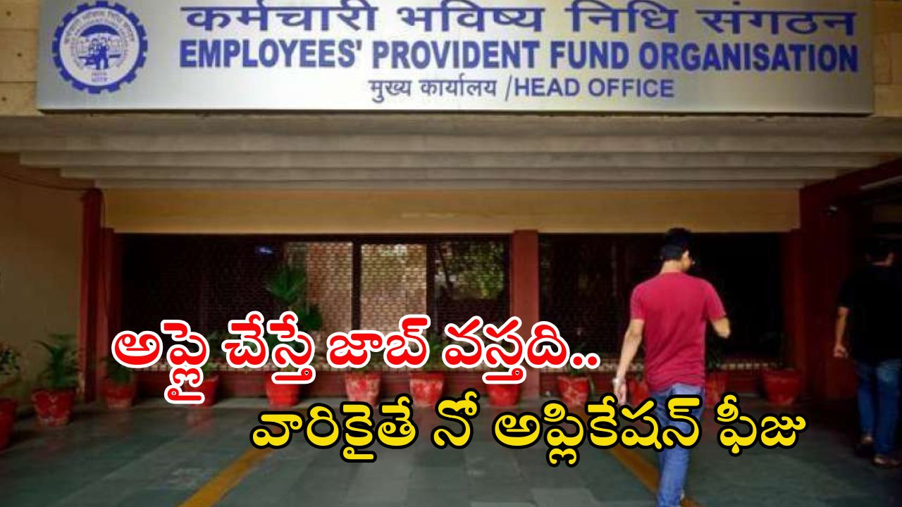 EPFO: ఎంప్లాయిస్‌ ప్రావిడెంట్‌ ఫండ్‌ ఆర్గనైజేషన్‌లో ఉద్యోగాలు.. డిగ్రీ పాసైతే చాలు, నో కాంపిటేషన్