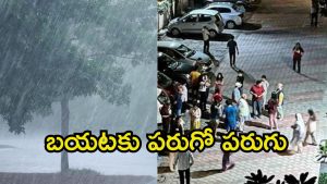 Vikarabad Earthquake: వికారాబాద్ జిల్లాలో భూప్రకంపనలు.. పరుగులు తీసిన ప్రజలు