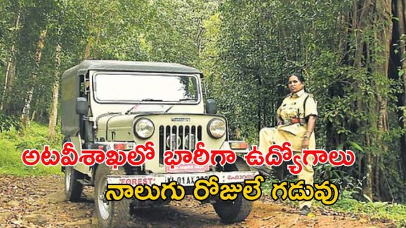 Forest Beat Officer: 691 ఫారెస్ట్ బీట్ ఆఫీసర్ ఉద్యోగాలకు అప్లై చేసుకున్నారా..? ఇంకా 4 రోజులే!