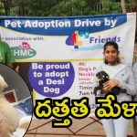 Hyderabad News: కేబీఆర్ పార్కు.. దేశీ కుక్క పిల్లల దత్తత డ్రైవ్
