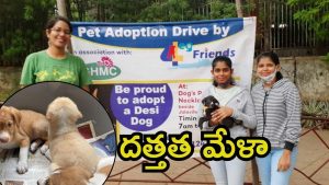 Hyderabad News: కేబీఆర్ పార్కు.. దేశీ కుక్క పిల్లల దత్తత డ్రైవ్