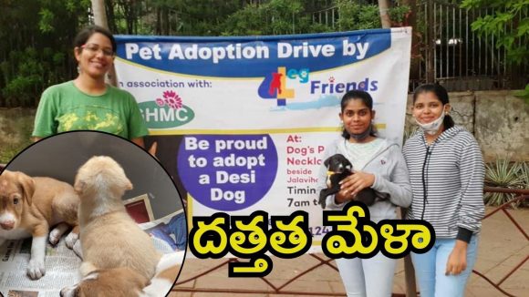 Hyderabad News: కేబీఆర్ పార్కు.. దేశీ కుక్క పిల్లల దత్తత డ్రైవ్