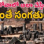 Goa Government: గోవాలో అలా చేస్తే రూ.లక్ష జరిమానా
