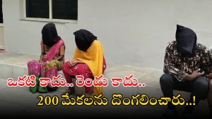 Nalgonda News: ఖరీదైన కార్లలో మేకలు, గొర్రెల దొంగతనం.. 16 మంది అరెస్ట్