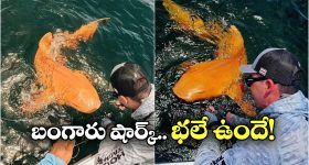 Delhi Triple Murder: ఢిల్లీలో ఘోరం.. ఓ ఫ్యామిలీలో ముగ్గురు దారుణ హత్య, నిందితుడు కుటుంబసభ్యుడే?