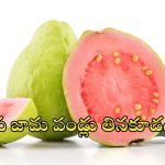 Guava: వీళ్లు.. పొరపాటున కూడా జామపండ్లు తినొద్దు !