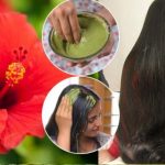 Hibiscus Leaves: మందార ఆకులను ఇలా వాడితే.. తలమోయలేనంత జుట్టు