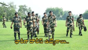 Head Constable Jobs: భారీగా పోలీస్ ఉద్యోగాలు.. టెన్త్ పాసై ఉంటే చాలు, పూర్తి వివరాలివే