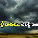 Heavy Rain Andhra: ఏపీకి భారీ వర్షసూచన.. రాబోయే 48 గంటలు కీలకం.. అప్రమత్తం అంటూ హెచ్చరిక!
