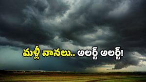 Heavy Rain Andhra: ఏపీకి భారీ వర్షసూచన.. రాబోయే 48 గంటలు కీలకం.. అప్రమత్తం అంటూ హెచ్చరిక!