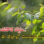 Weather Update: రాష్ట్రంలో కుండపోత వర్షాలు.. ఈ జిల్లాల్లో అయితే భారీ వానలు, బయటకు వెళ్లొద్దు