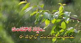 Weather Update: రాష్ట్రంలో కుండపోత వర్షాలు.. ఈ జిల్లాల్లో అయితే భారీ వానలు, బయటకు వెళ్లొద్దు