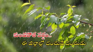 Weather Update: రాష్ట్రంలో కుండపోత వర్షాలు.. ఈ జిల్లాల్లో అయితే భారీ వానలు, బయటకు వెళ్లొద్దు