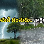 Heavy rain alert: 48 గంటల పాటు దంచుడే.. ఏపీలోని ఆ జిల్లాలకు భారీ వర్ష సూచన!