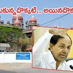 Big Shock to KCR: కేసీఆర్‌‌కు హైకోర్టు షాక్, మధ్యంతర ఉత్తర్వులు ఇవ్వలేం, కాళేశ్వరం రిపోర్టుపై వ్యాఖ్య