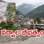 Himachal floods: హిమాచల్‌ను ముంచెత్తిన భారీ వర్షాలు.. కొట్టుకుపోయిన వంతెనలు