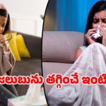 Home remedies: కఫం, జలుబు వేధిస్తున్నాయా? ఈ సింపుల్ హోమ్ రెమిడీతో ఇట్టే మాయమైపోతాయి