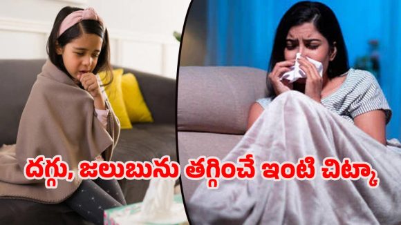 Home remedies: కఫం, జలుబు వేధిస్తున్నాయా? ఈ సింపుల్ హోమ్ రెమిడీతో ఇట్టే మాయమైపోతాయి
