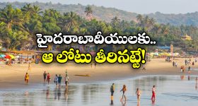 Migraine: మైగ్రేన్ తగ్గడం లేదా ? ఈ టిప్స్ పాటిస్తే.. సరి !