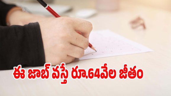 IBPS Notification: డిగ్రీ అర్హతతో 10,277 ఉద్యోగాలు.. తెలుగు రాష్ట్రాల్లోనూ వెకెన్సీలు.. డోంట్ మిస్