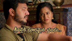 Illu Illalu Pillalu Today Episode: చందును మోసం చేసిన భాగ్యం.. తిరుపతిని ఆడుకున్న అల్లుడ్లు.. నర్మదకు బిగ్ షాక్..