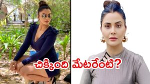 Sandeepa Virk: ఈడీకి చిక్కిన ఇన్‌స్టాగ్రామ్ ఇన్‌ఫ్లుయెన్సర్ సందీపా విర్క్‌.. అయ్య బాబోయ్ ఓ రేంజ్‌లో