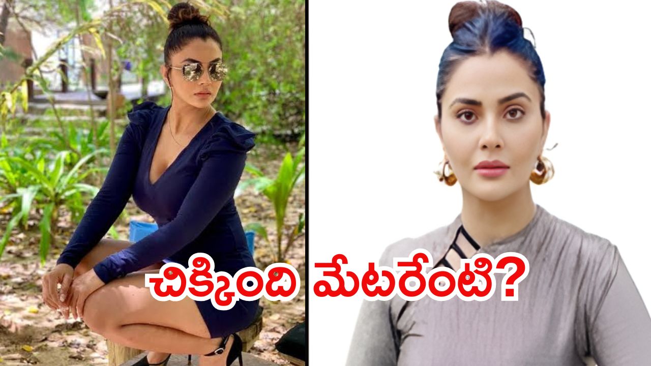 Sandeepa Virk: ఈడీకి చిక్కిన ఇన్‌స్టాగ్రామ్ ఇన్‌ఫ్లుయెన్సర్ సందీపా విర్క్‌.. అయ్య బాబోయ్ ఓ రేంజ్‌లో