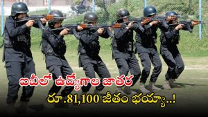 Intelligence Bureau: ఐబీలో జూనియర్ ఇంటెలిజెన్స్ ఆఫీసర్ ఉద్యోగాలు.. డిగ్రీ పాసైతే చాలు బ్రో.. సూపర్ ఛాన్స్ ఇది..!