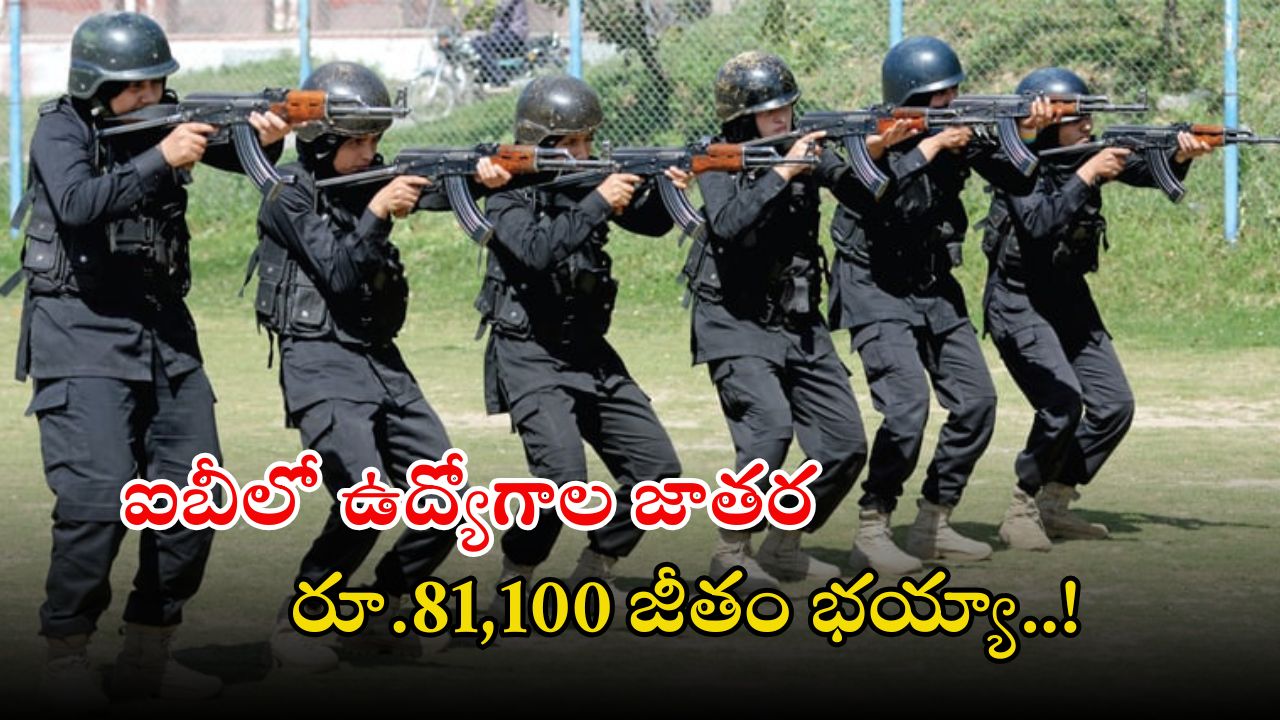 Intelligence Bureau: ఐబీలో జూనియర్ ఇంటెలిజెన్స్ ఆఫీసర్ ఉద్యోగాలు.. డిగ్రీ పాసైతే చాలు బ్రో.. సూపర్ ఛాన్స్ ఇది..!
