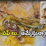 Jadcherla bakery: కర్రీ పఫ్ తింటుంటే నోటికి మెత్తగా తగిలింది.. ఏంటా అని చూస్తే పాము!