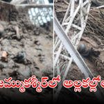 Jammu Kashmir: భారీ వర్షాలు.. విరిగిపడిన కొండచరియలు, స్పాట్‌లో ఐదుగురు మృతి
