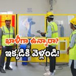 Job guarantee courses: ఇంటర్, డిగ్రీ అవసరం లేదు.. పదో తరగతి తర్వాతే డైరెక్ట్ జాబ్.. ఇలా చేయండి!