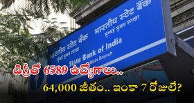 Junior Associate Jobs: ఎస్బీఐలో 6589 జూనియర్ అసోసియేట్ ఉద్యోగాలు.. భారీ వేతనం, మరి ఇంకెందుకు ఆలస్యం