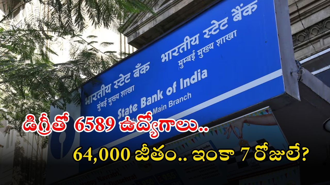 Junior Associate Jobs: ఎస్బీఐలో 6589 జూనియర్ అసోసియేట్ ఉద్యోగాలు.. భారీ వేతనం, మరి ఇంకెందుకు ఆలస్యం