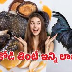 Kadaknath Chicken: వావ్! నల్ల మాంసం ఇచ్చే కోడి.. దీనిని తింటే ఆ వ్యాధులన్నీ పరార్..