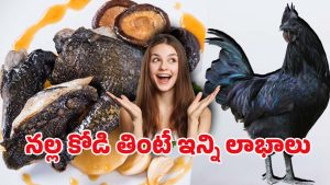 Kadaknath Chicken: వావ్! నల్ల మాంసం ఇచ్చే కోడి.. దీనిని తింటే ఆ వ్యాధులన్నీ పరార్..