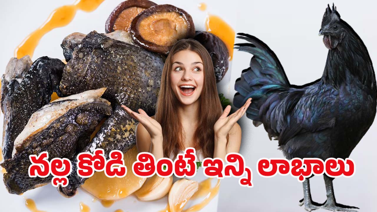 Kadaknath Chicken: వావ్! నల్ల మాంసం ఇచ్చే కోడి.. దీనిని తింటే ఆ వ్యాధులన్నీ పరార్..
