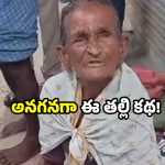 Karimnagar news: వృద్ధాప్య పెన్షన్ పంపకంలో తేడా.. తల్లిని వదిలేసిన కుమారులు.. చివరికి?