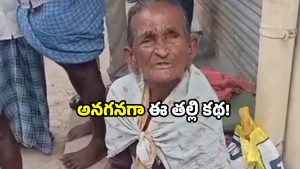 Karimnagar news: వృద్ధాప్య పెన్షన్ పంపకంలో తేడా.. తల్లిని వదిలేసిన కుమారులు.. చివరికి?