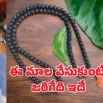 Karungali Mala: ఒక చిన్న మాల.. జీవితాన్ని మార్చేస్తుందా? ఇది దేవుని ఆశీర్వాదమా!