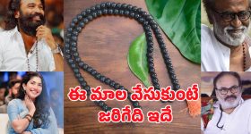 Karungali Mala: ఒక చిన్న మాల.. జీవితాన్ని మార్చేస్తుందా? ఇది దేవుని ఆశీర్వాదమా!